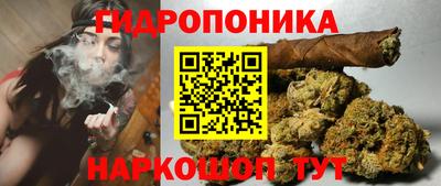 сатива Балаково