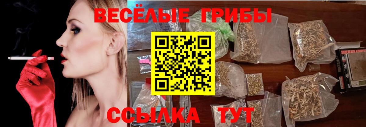 купить  сайты  Галлюциногенные грибы мухоморы  Галлюциногенные грибы MAGIC MUSHROOMS  Вход с VPN  Губкинский 