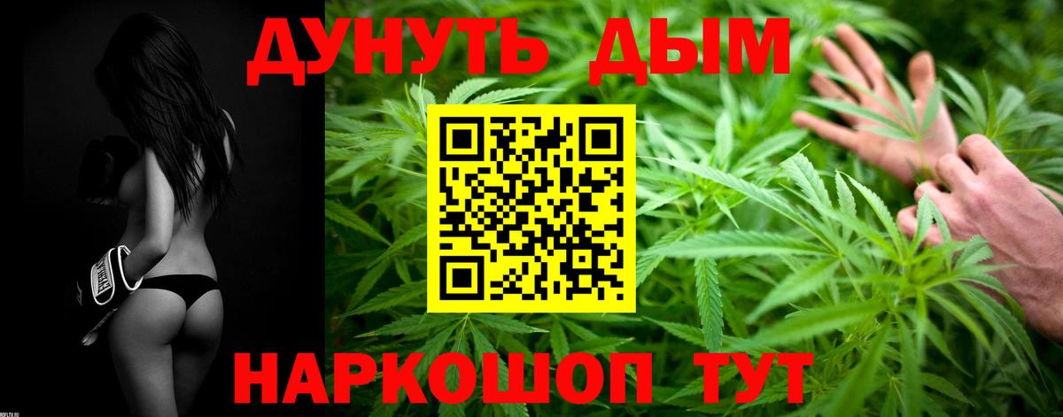 Конопля OG Kush  Марихуана планчик  Губкинский  Вход с VPN  Канабис конопля 